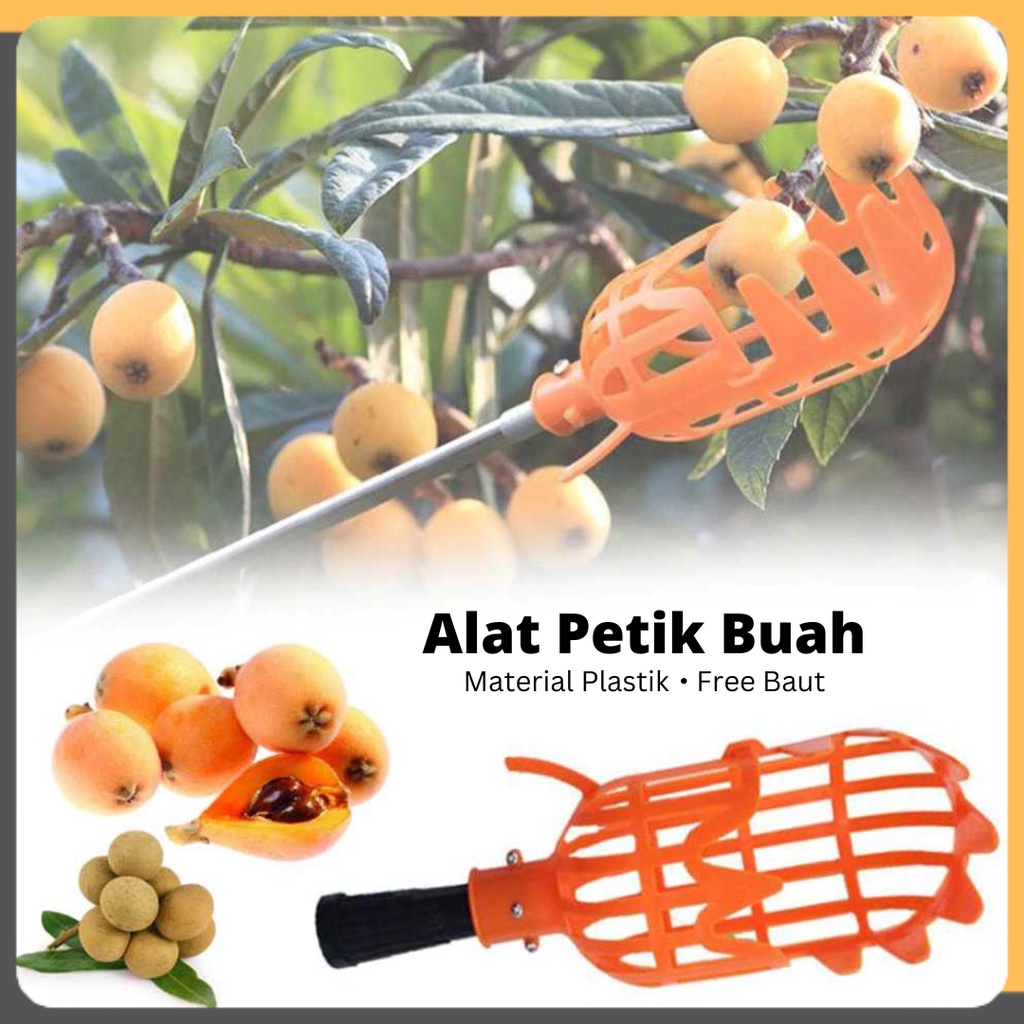 Alat Pemetik Buah Fruit Picker