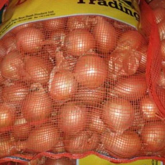 

Harga Terbaik Bawang Bombay per 1/2 kg