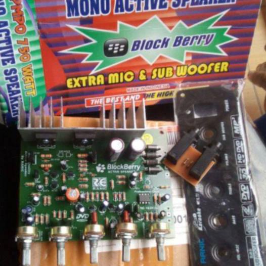 ☑ Kit Power Amplifier Speaker Aktif Mono 750W PMPO type 630 ❀