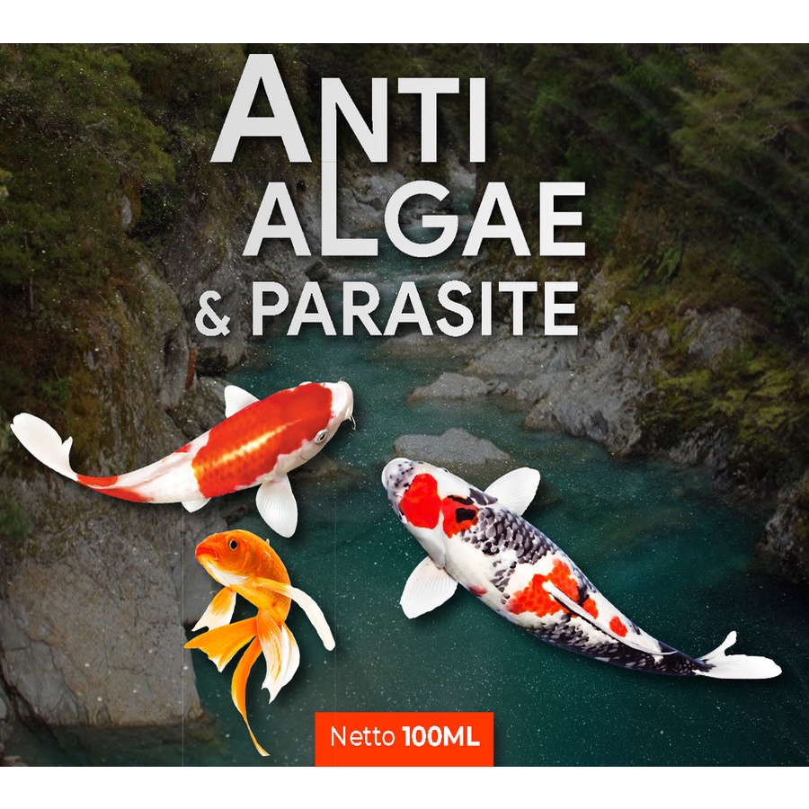 Anti Algae dan Parasit Obat Lumut Alga Remover Kolam dan Aquarium 100ml