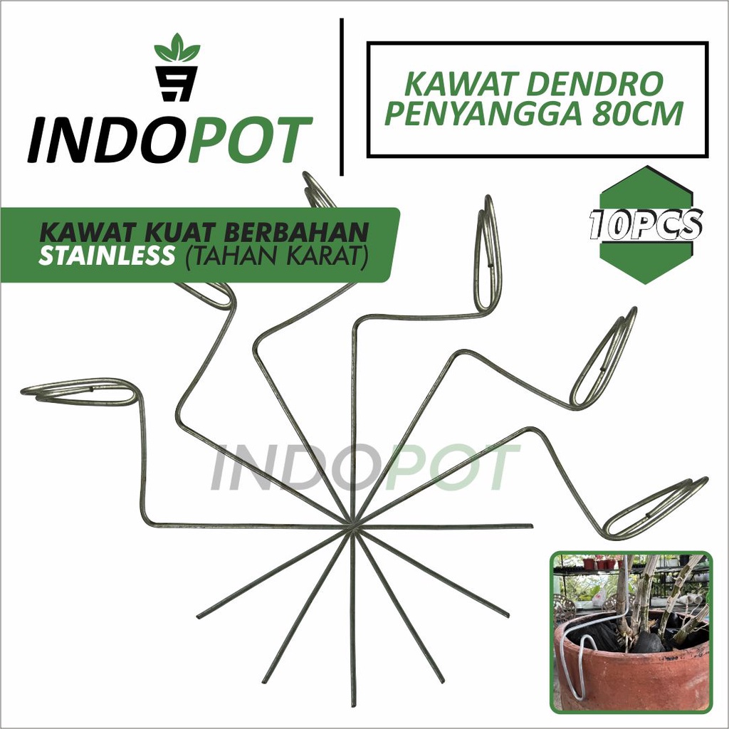 (10Pcs) Kawat Penyangga Batang Tanaman Anggrek 80 Cm Anti Karat Stainles
