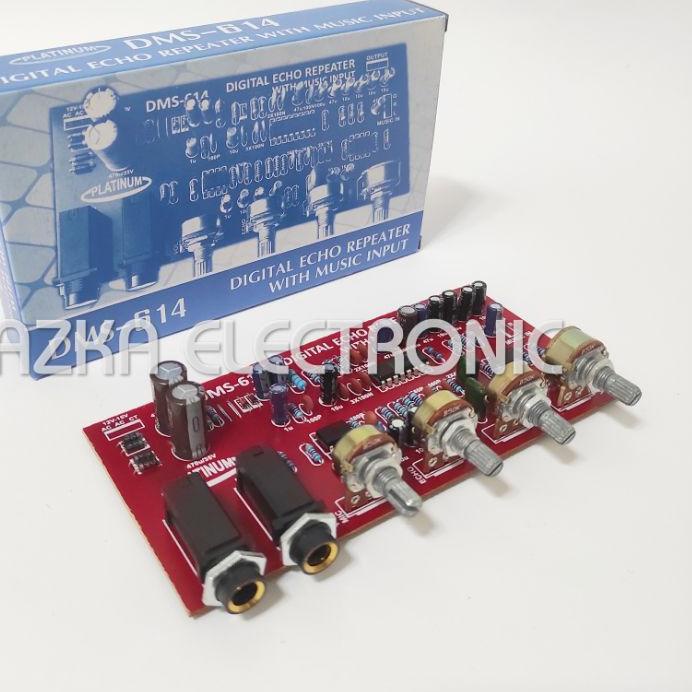 ֍ Kit Digital Echo Repeater Plus Music Input DMS 614 ✦
