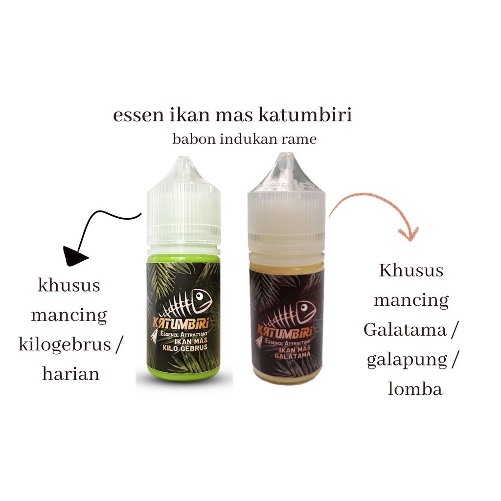 essen katumbiri ikan mas mancing harian lomba