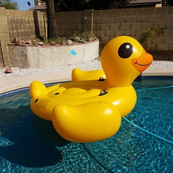 Best Seller Intex 57556 Pelampung Renang Intex Duck Ride On Ban Renang Bebek Besar