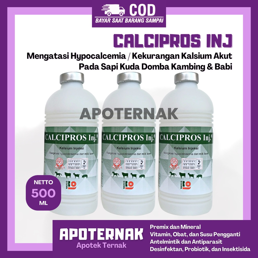 CALCIPROS INJ 500 ml | Kalsium Infus Untuk HYPOCALCEMIA atau Kekurangan Kalsium Ternak Sapi Kambing | Seperti Calsidex Calcidex