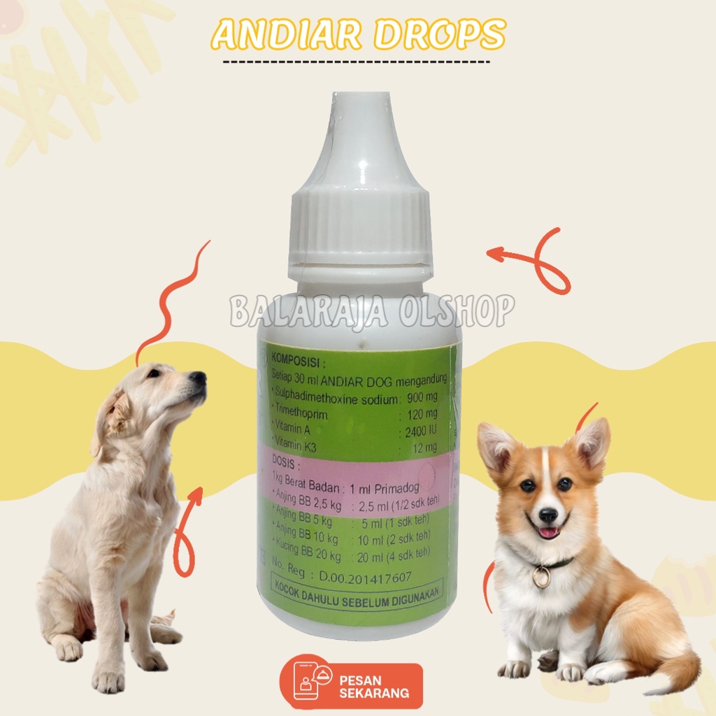 Obat Mencret Anjing Puppy Andiar Dog Sakit Diare Pencernaan