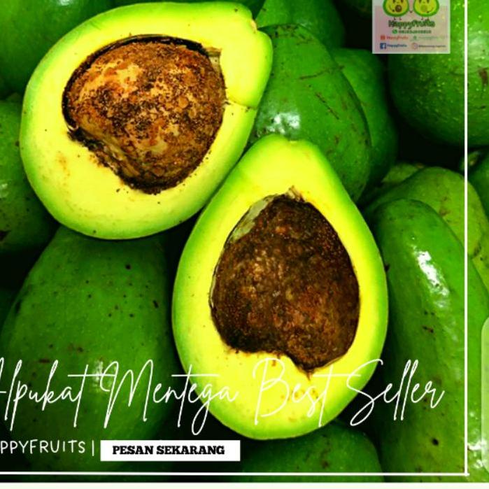 

✷ BUAH ALPUKAT MENTEGA HAPPYFRUITS 2 KG ☪