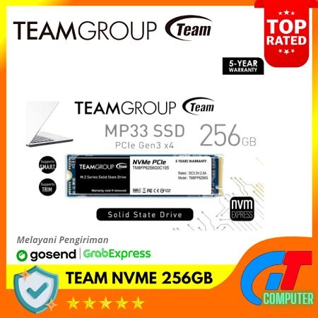 Team MP33 SSD NVMe M.2 / M2 256 GB - NVMe 256GB