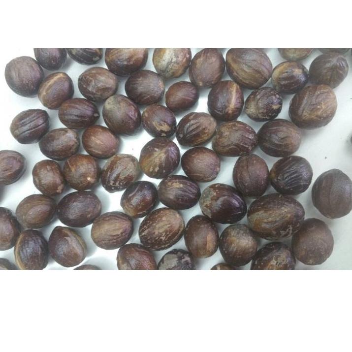 

➶ Pala bulat dapat 1 kg. Kualitas Ekspor ☏