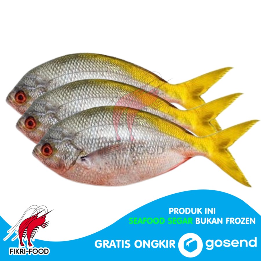 

Ikan Ekor Kuning Segar Fresh