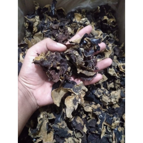 

jamur kuping hitam kering / white black fungus 100 gram kualitas premium, murah, terlaris