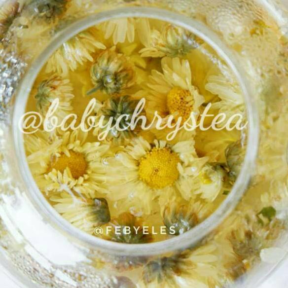 

✱ Chrysanthemum Tea ❂