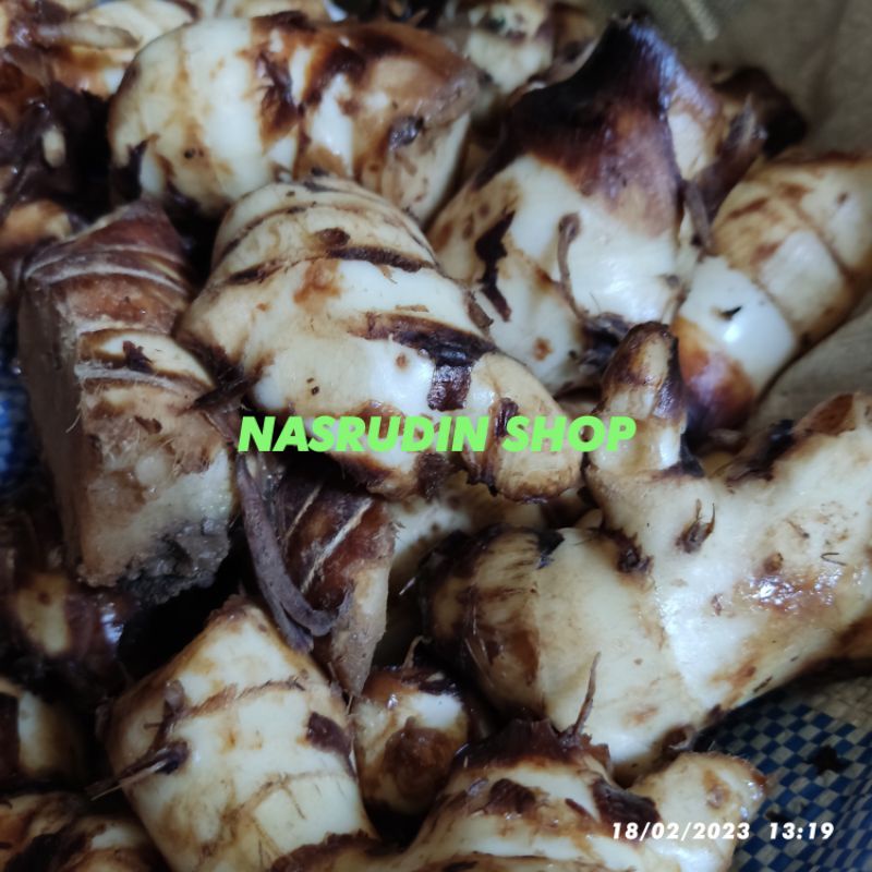

UMBI GANYONG PUTIH PULEN 1KG / UMBI SEBE PUTIH