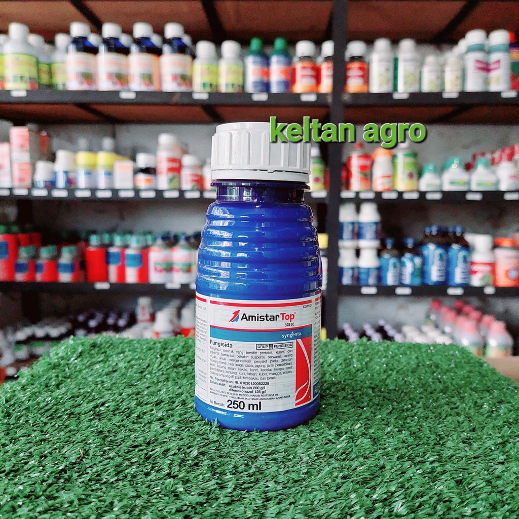 AMISTAR TOP 325 SC ( 250 ml )