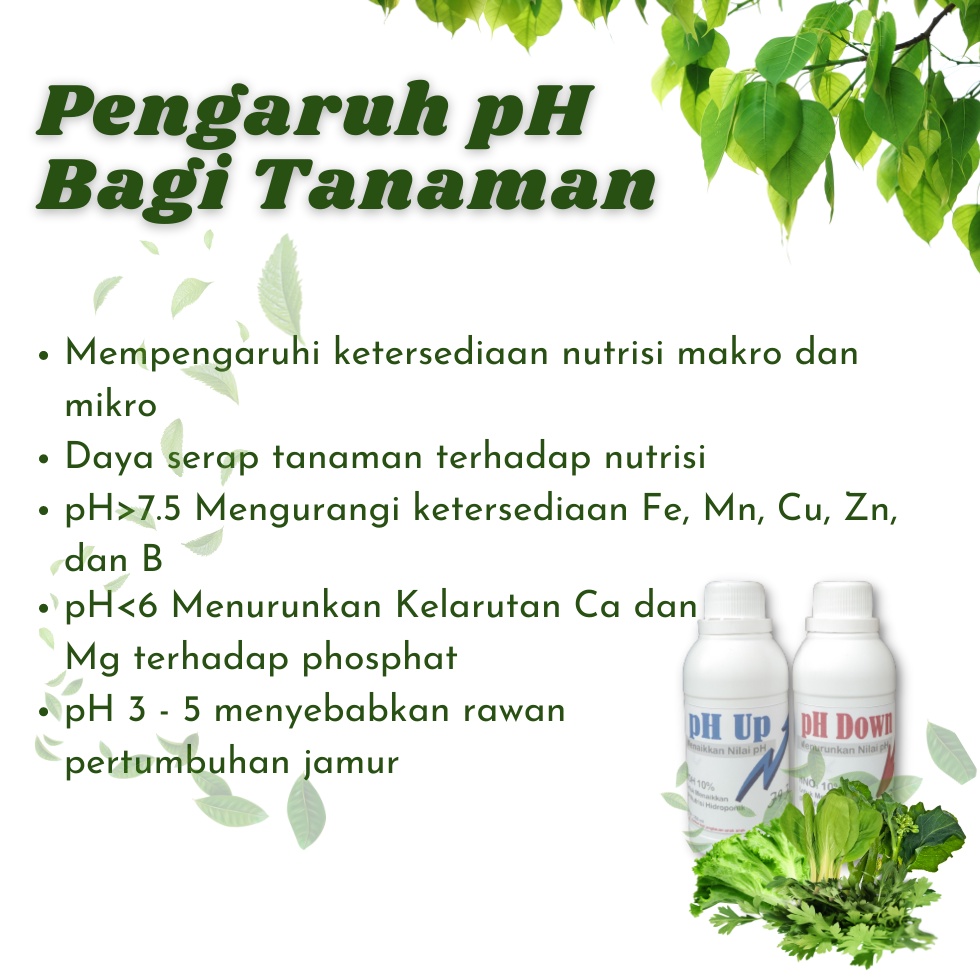 pH Up pH Down Nutrisi Hidroponik -  Botol 250 ml