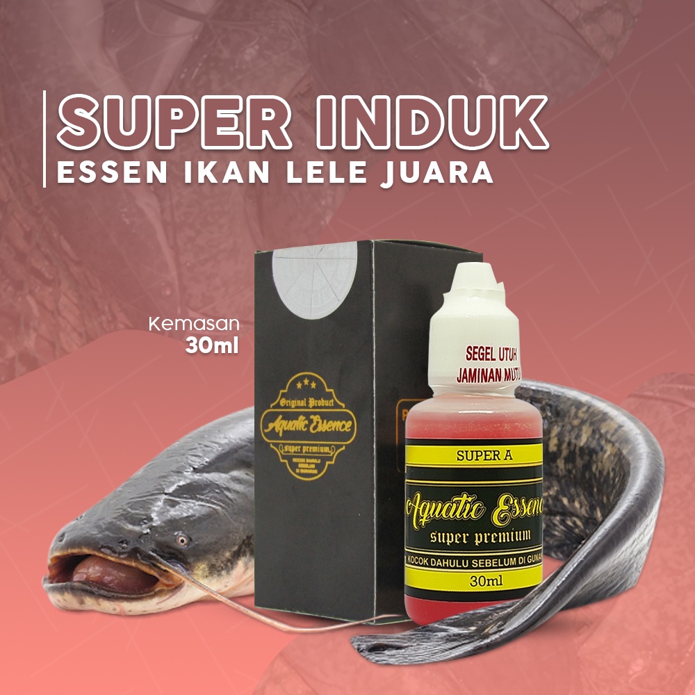 Essen Umpan Ikan Lele Indukan Babon Mancing Harian Lomba Galatama - SUPER PREMIUM A LELE