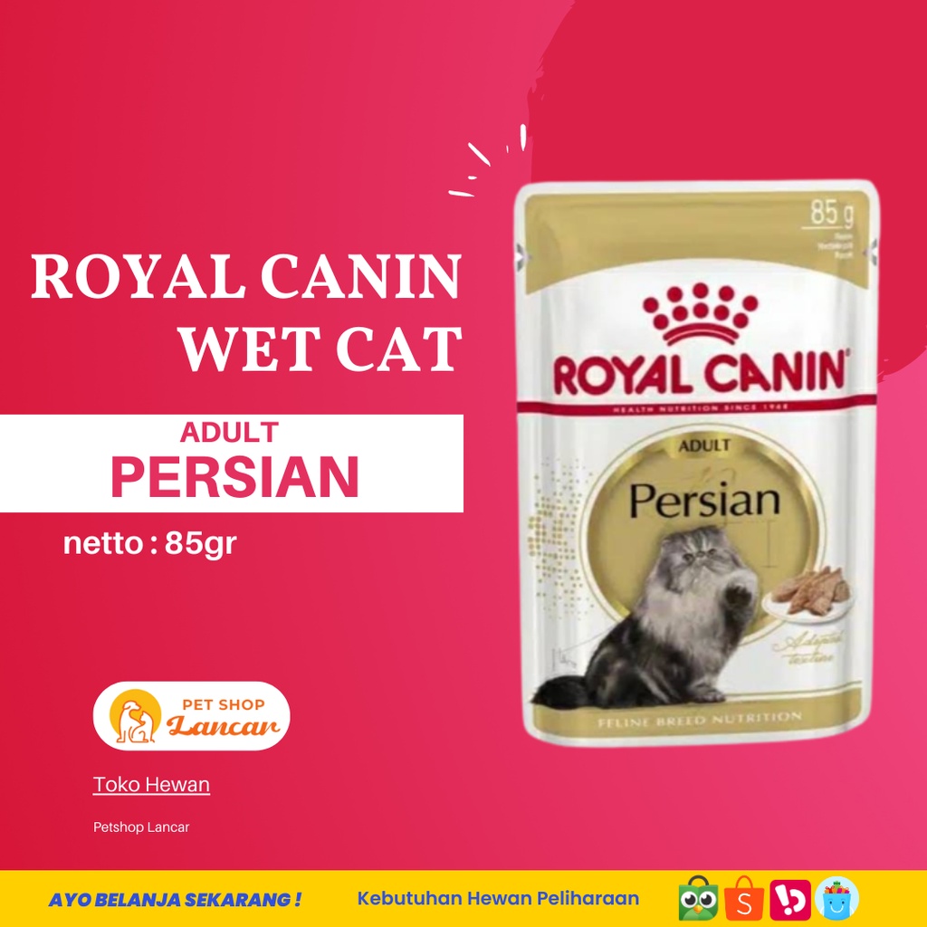 Royal Canin Adult Persian Makanan Kucing Dewasa Persia Wet 85gr