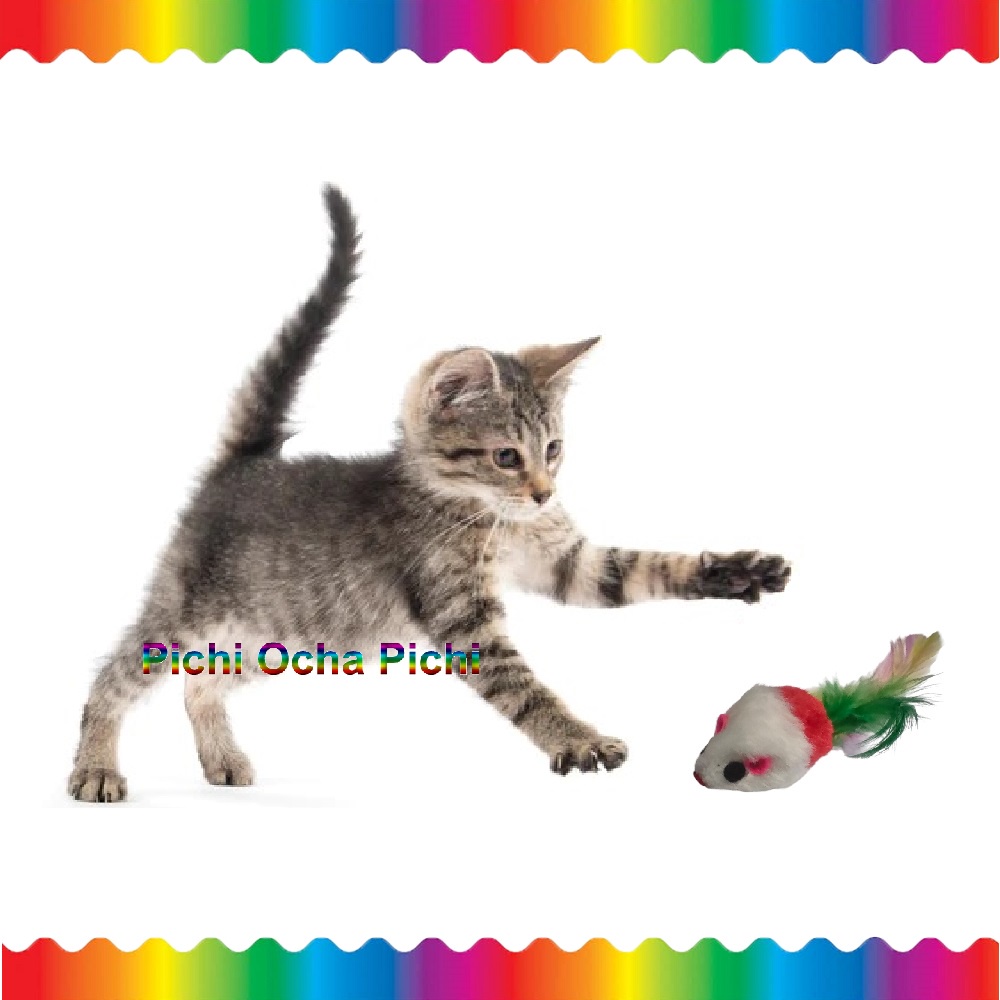 mainan kucing Tikus bulu warna  cat toys