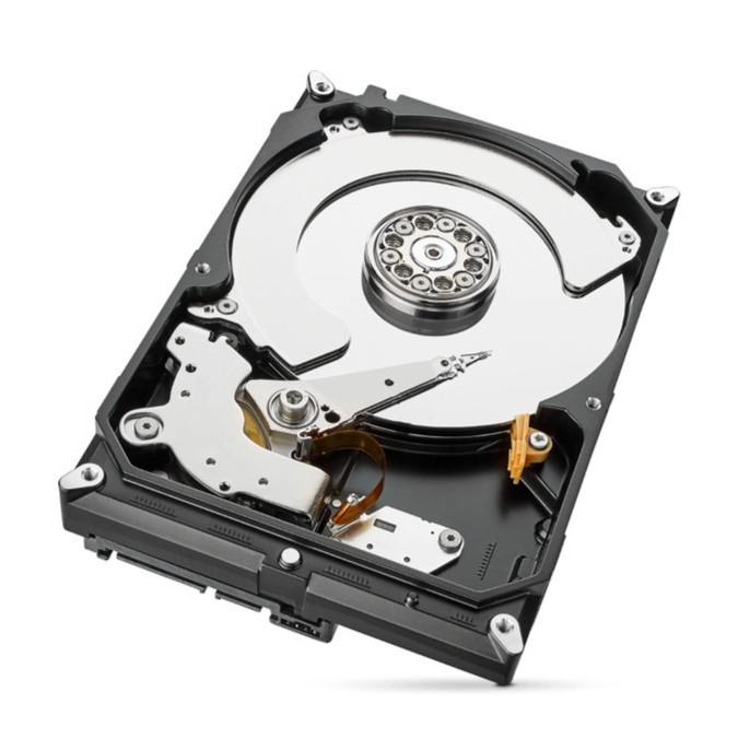 Harddisk CCTV SEAGATE Skyhawk