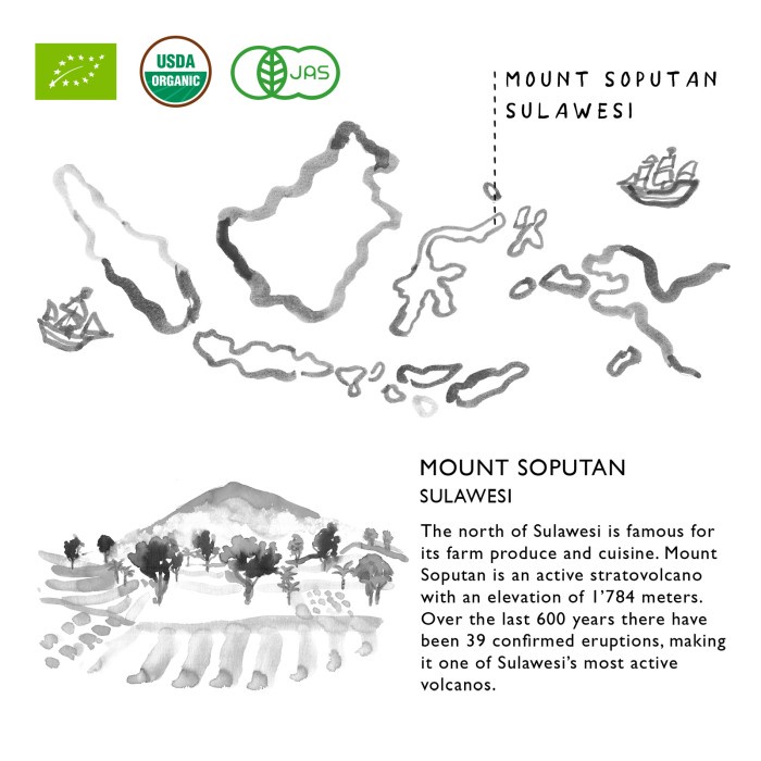 

East Java & Co Organic Vanilla Pods - 10g Biji Vanila Organik