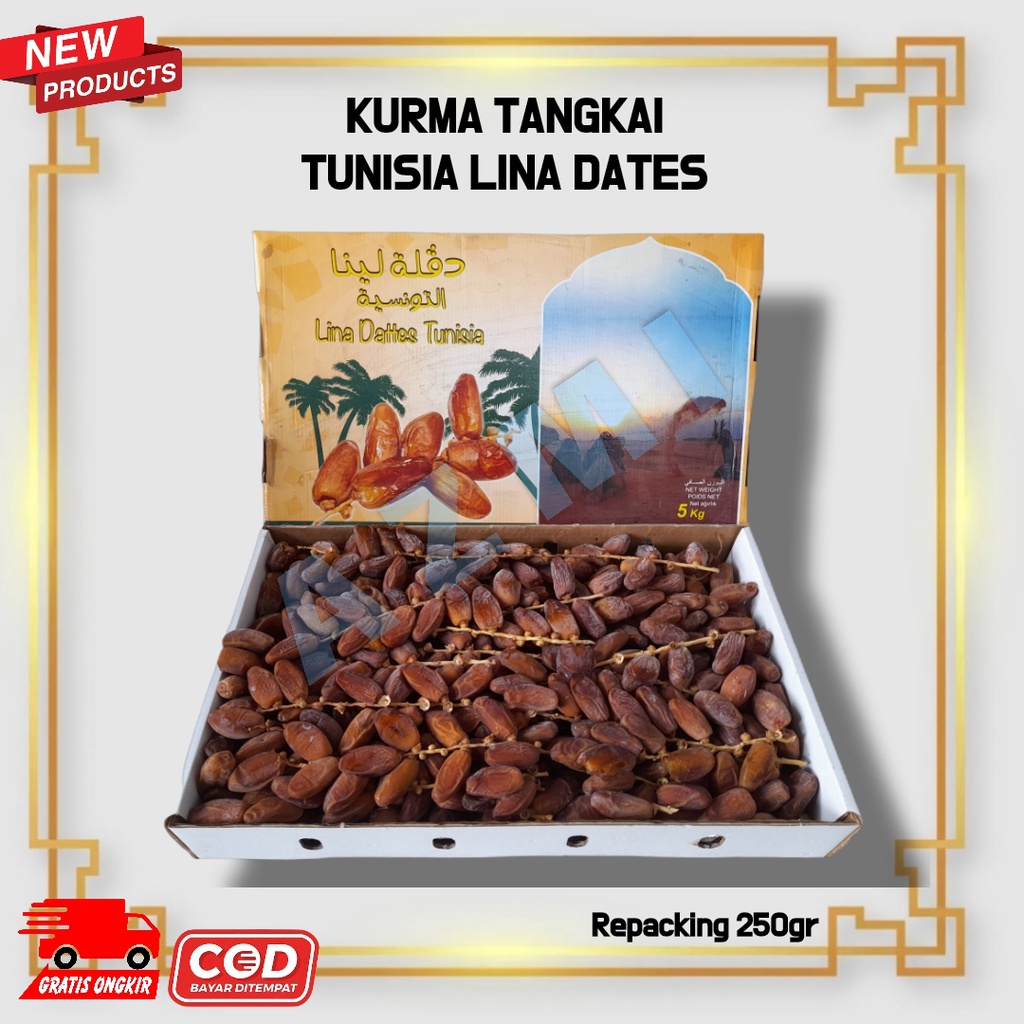Kurma Tangkai Lina Dates Tunisia 500 gr | Kurma Tunisia Asli Kualitas Premium