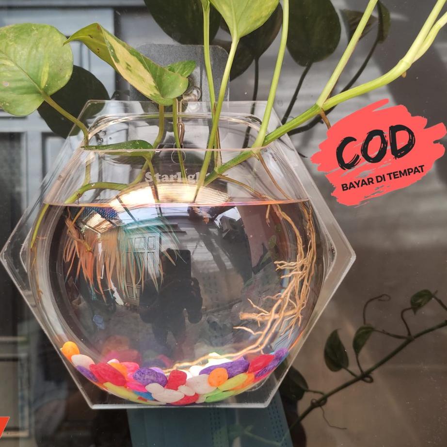 ♜ Aquarium Dinding Hexagonal Acrylic untuk vas bunga dan ikan ❈