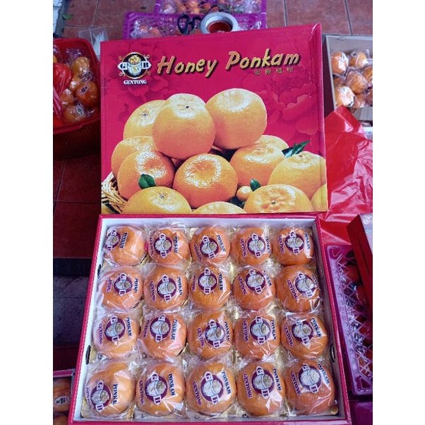 

jeruk ponkam gentong 20buah gift imlek
