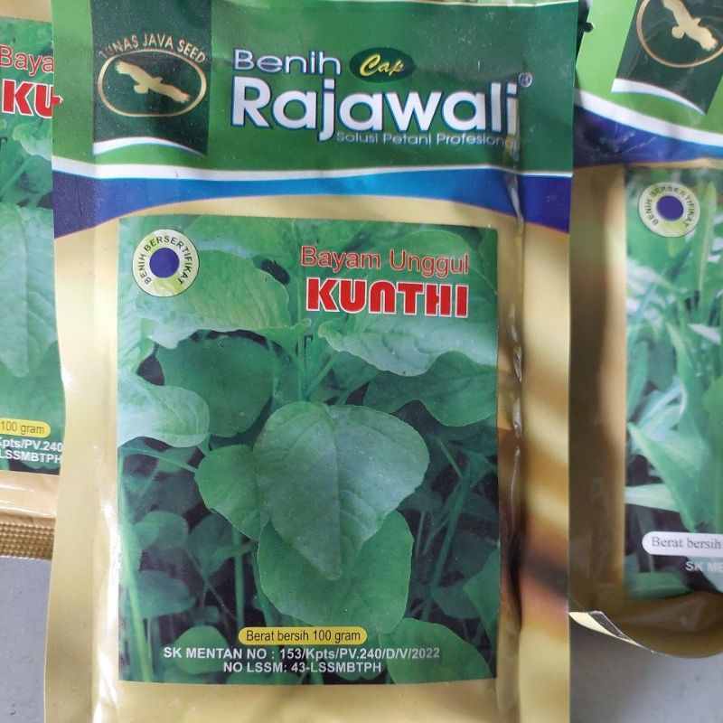 benih bayam cabut 100gram benih bayam cap rajawali bayam kunthi