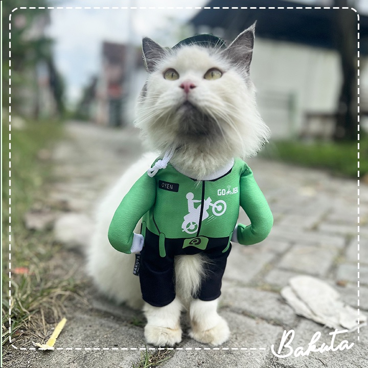 Kostum Ojek Online untuk kucing dan anjing Baju Berdiri Kurir Gojek / Kostum kucing Murah / Baju Kucing Tangerang size S-XL