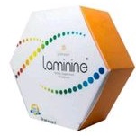 Laminine Stemcell original isi 30kapsul