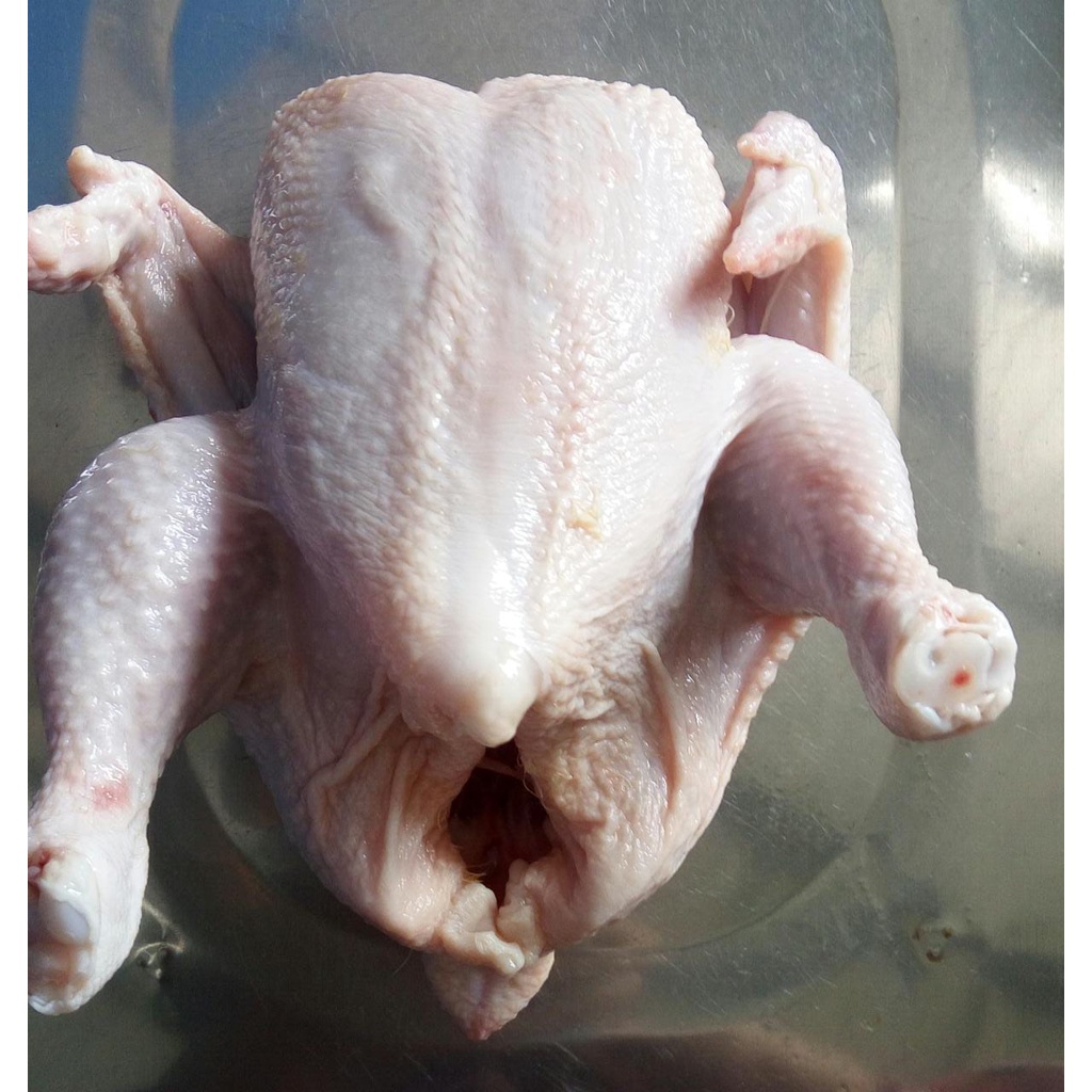 

BAH Ayam Karkas Broiler - Halal Daging Segar Frozen Fresh Beku Potong Utuh Chicken Boiler Ekor