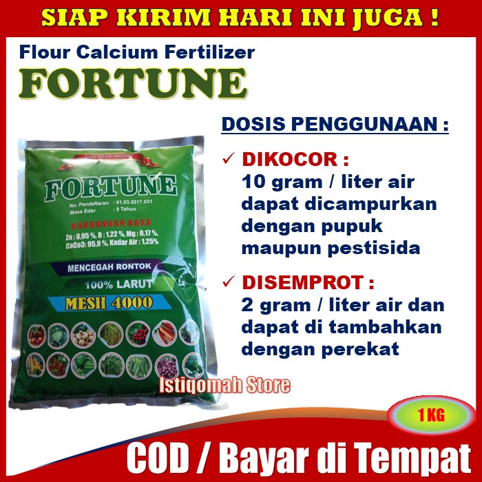 Pupuk Kalsium untuk Layu Fusarium Tanaman Tomat Paling Ampuh FORTUNE 1KG Obat Layu Daun Tanaman Tomat - Pupuk Anti Rontok Bunga dan Buah Tomat - Pupuk Busuk Buah Tomat yang Bagus Buah Tomat Lebat dan Besar