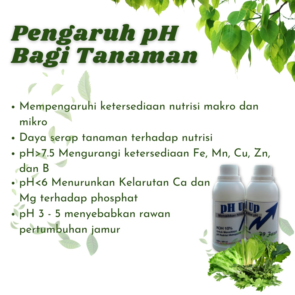 pH Up KOH 10% Nutrisi Hidroponik Botol 250 ml