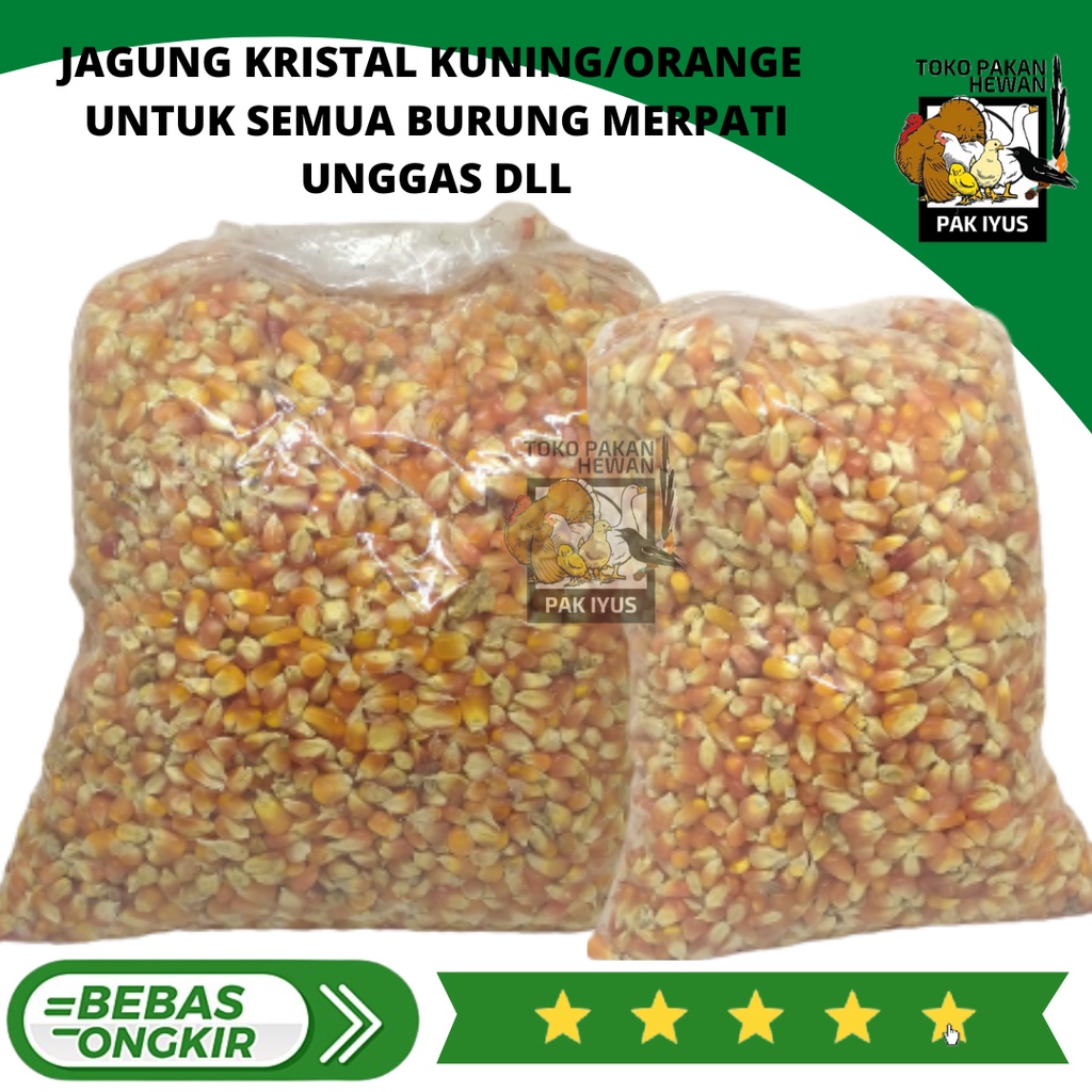 JAGUNG KRISTAL CRYSTAL KILOAN PAKAN MAKANAN BURUNG MERPATI DARA AYAM PERKUTUT PUTER HAMSTER BEBEK DE