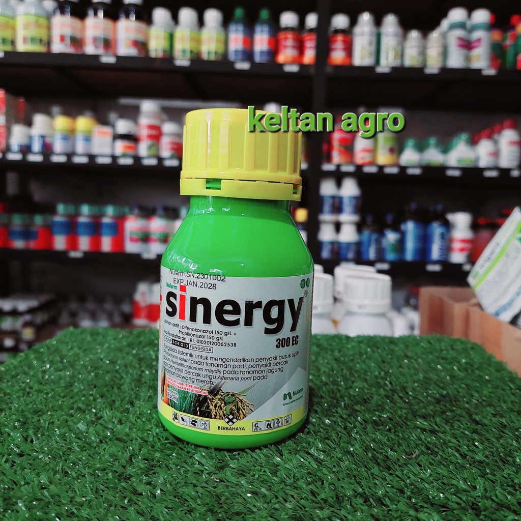 SINERGY 300 EC ( 250 ml )