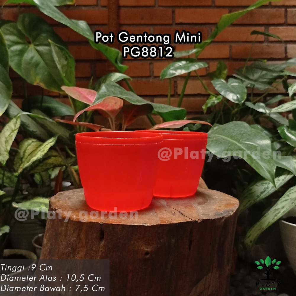 Pot Gentong Lovenia Mini - Gentong 12