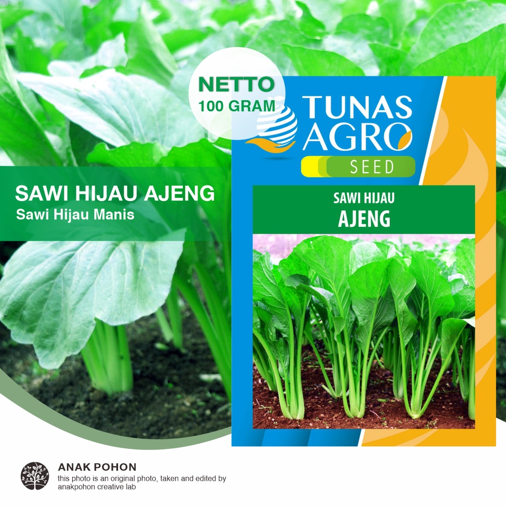 (1 PACK - 100 GRAM) Benih Sawi Hijau Manis AJENG Seeds - Tunas Agro Seed