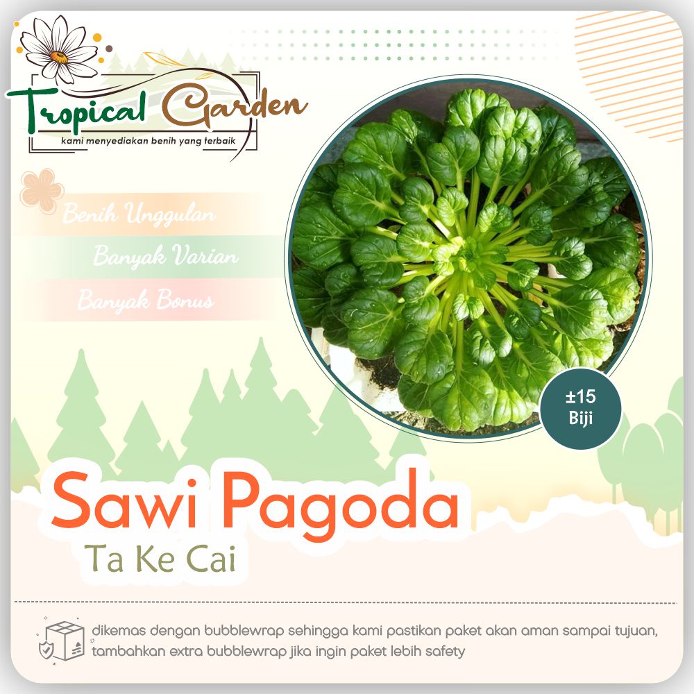 ✿ Tropical Garden ✿ Benih Sawi Pagoda Ta Ke Cai Benih Unggul COD ✅