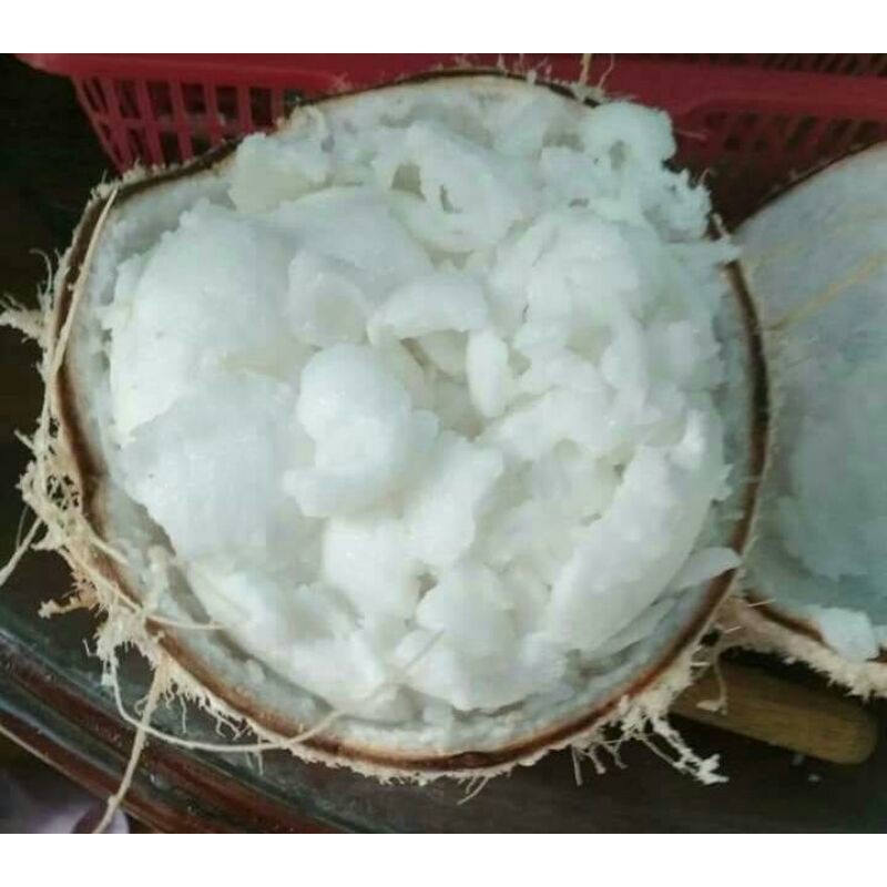 

serbuk es kelapa jelly kopyor ukuran 58-59 ORDERAN KAKA