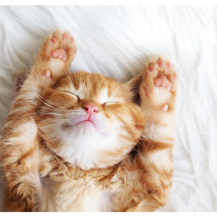 Pengharum Ruangan Dan Penghilang Bau FIZZ STRAWBERRY Aman Apabila Terjilat 250 ML