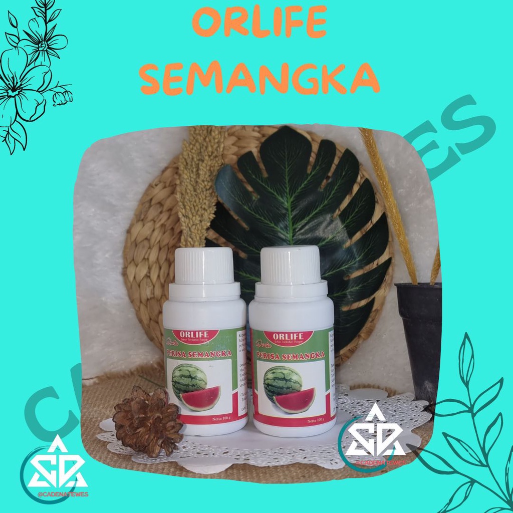 

♥MURAH LEBAY♥ Orlife Semangka 100 gr | Perisa Pasta Semangka Orlife | Orlife Semangka 100 gr | Orlife Semangka 100 gr | Perisa Pasta Semangka Orlife | Orlife Semangka 100 gr