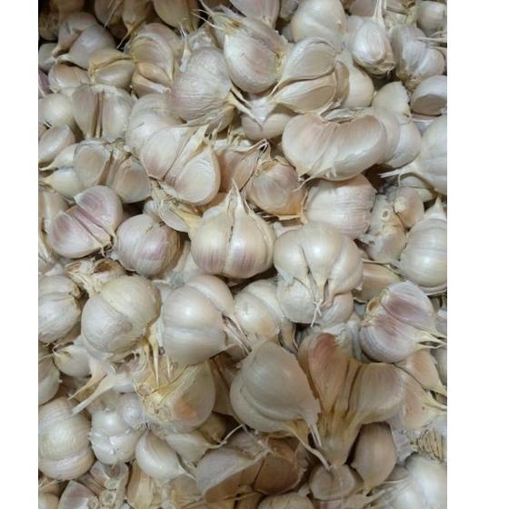 

Order BAWANG PUTIH KATING 1 KG