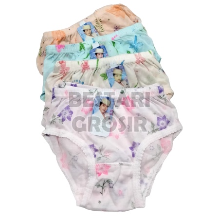 (S M L XL 3L 4L 5L) LUSINAN 12 PCS CD WANITA JUMBO MURAH /GROSIR 1 LUSIN CELANA DALAM WANITA DEWASA