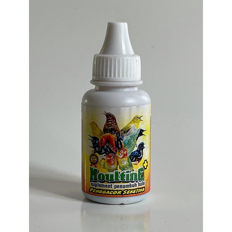 MOULTING PLUS PENUMBUH BULU BURUNG RONTOK