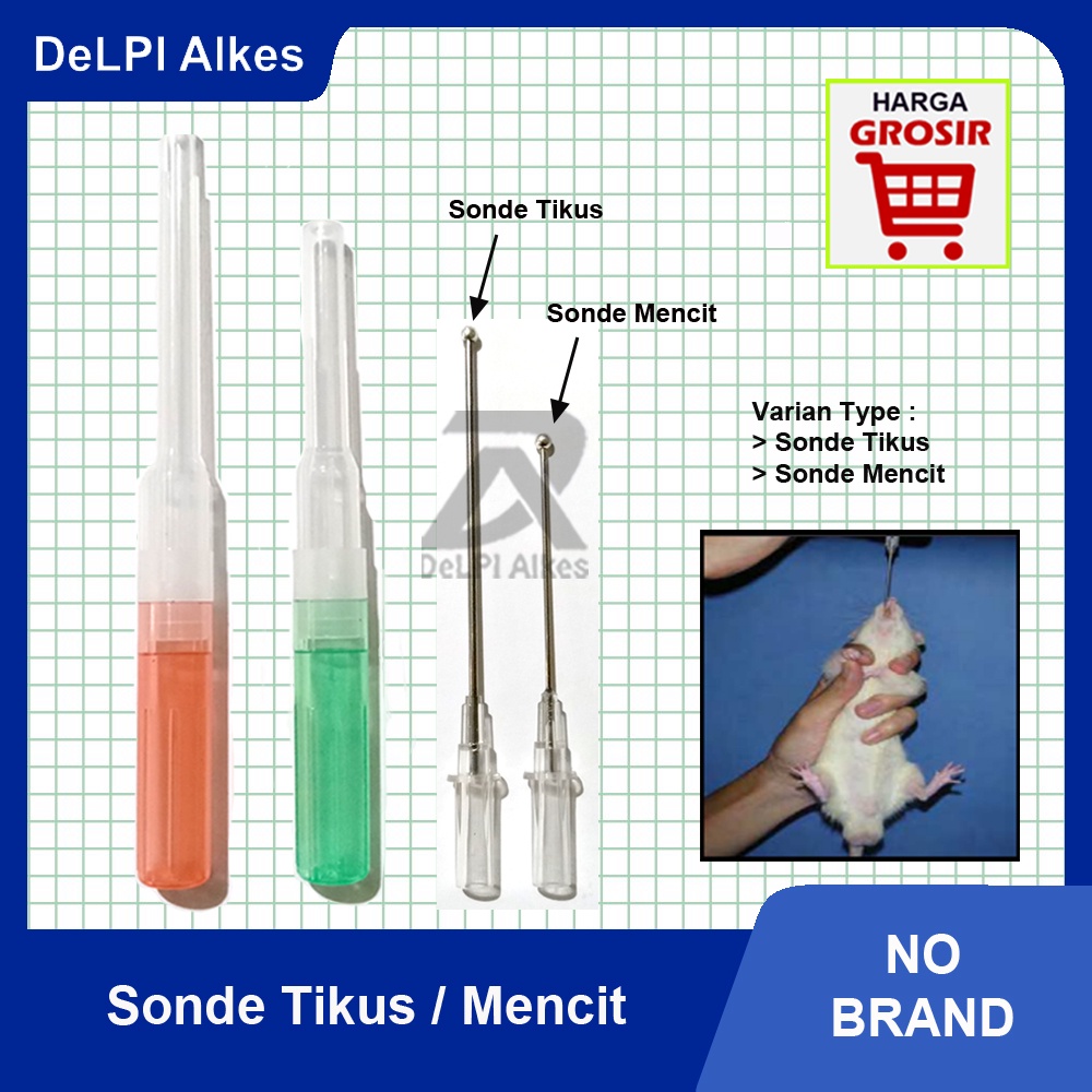 Sonde Tikus Mencit Wistar Laboratorium Oral Gavage
