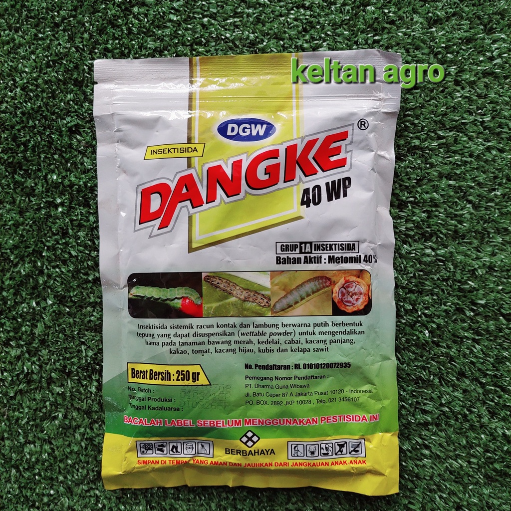 DANGKE 40 WP ( 250 gr )