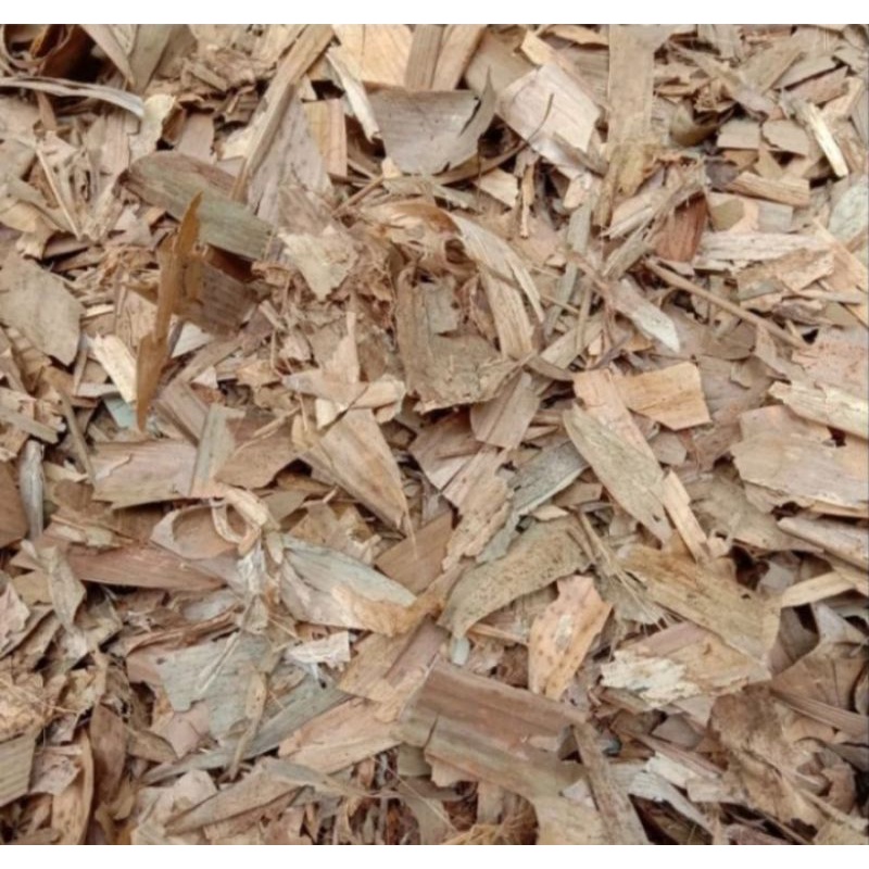 Daun Bambu Kering