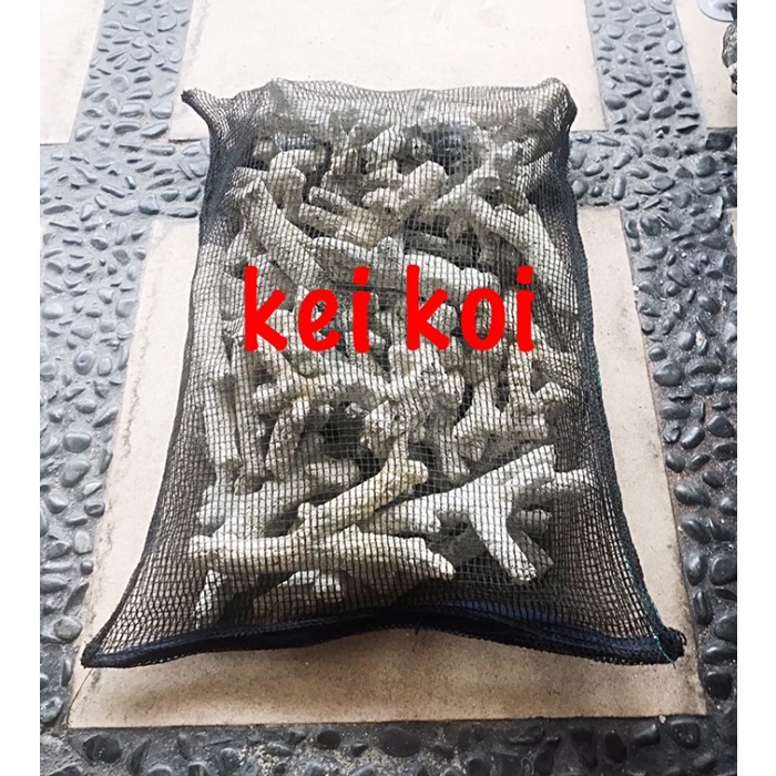 

Karang Jahe 4 Kg + Jaring Resleting