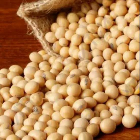 

Kacang Kedelai - Soybeans - Import - Kualitas Super