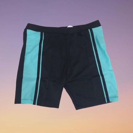 Celana Renang Diving Pria Laki Laki Pendek List Warna / Kolor Swim